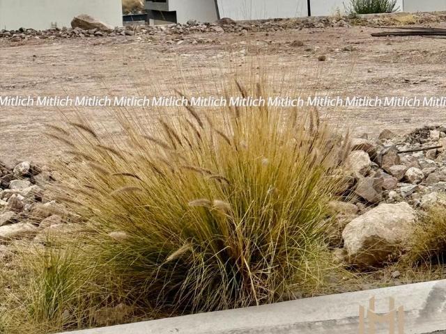 TERRENO RESIDENCIAL EN VENTA FRACC. CUMBRES DE DOMINIO $2,600,000
