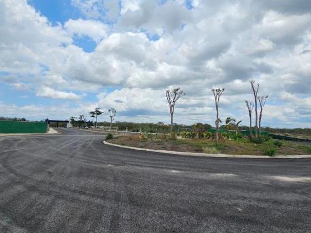 Terreno Residencial en Yucatán, facilidad de pagos