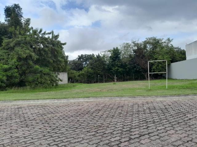 Terreno Residencial Lagunas de Miralta