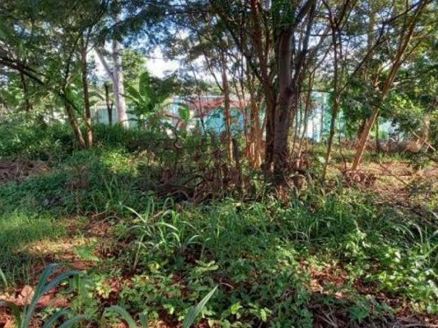 Terreno Residencial para Venda no Bairro Ribeirânia, em Ribeirão Preto SP