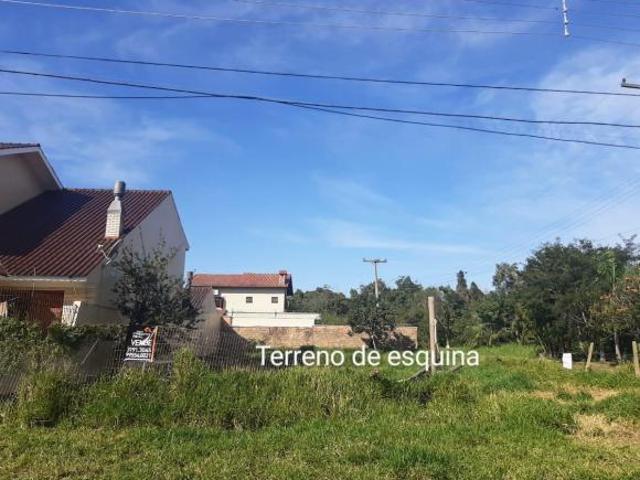 Terreno Residencial Plano frente para o Rio Guaiba