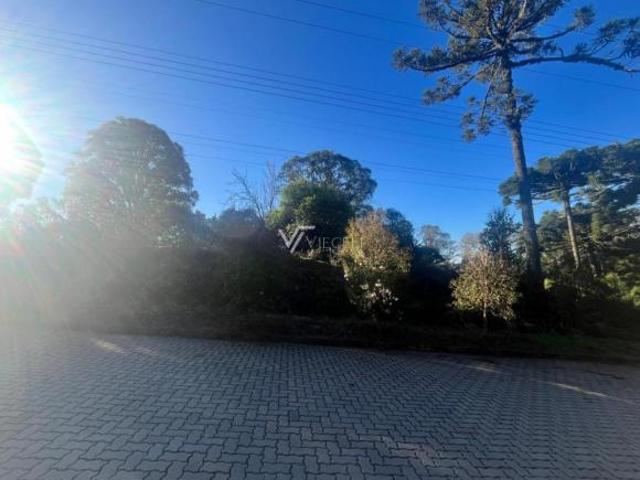 TERRENO RESIDENCIAL SANTO ANTÃO
