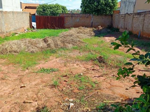 Terreno Residencial Venda Jardim São Marcos