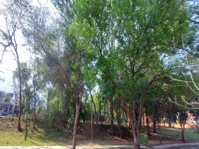 TERRENO RESIDENCIAL 1,217M2 A 400M DE CARRETERA, SANTIAGO, N.L