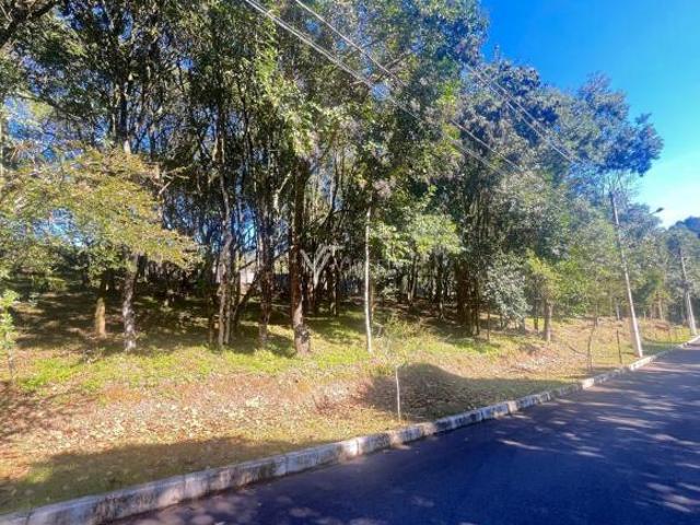 TERRENO RESIDENCIAL