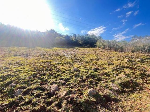 TERRENO RESIDENCIAL