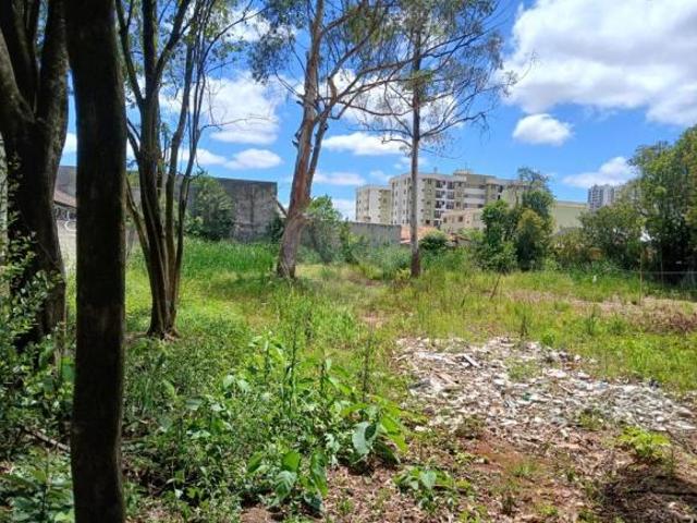 Terreno Residencial/Comercial Vila Izabel 918 Metros