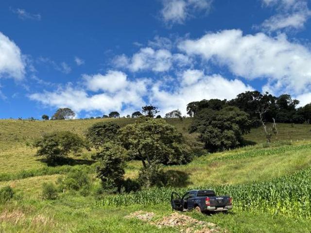 Terreno rico em água com topografia excelente 5.5 alqueires