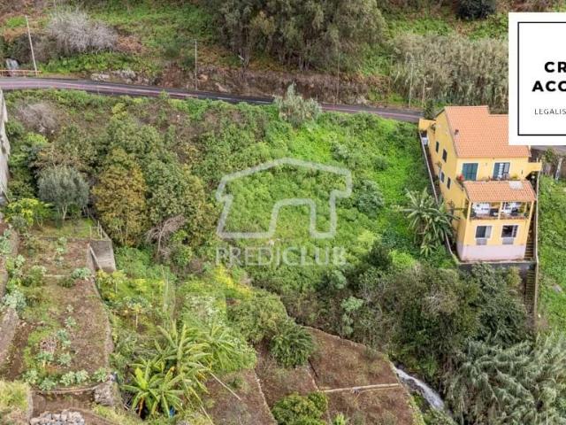 Terreno Ribeira Brava