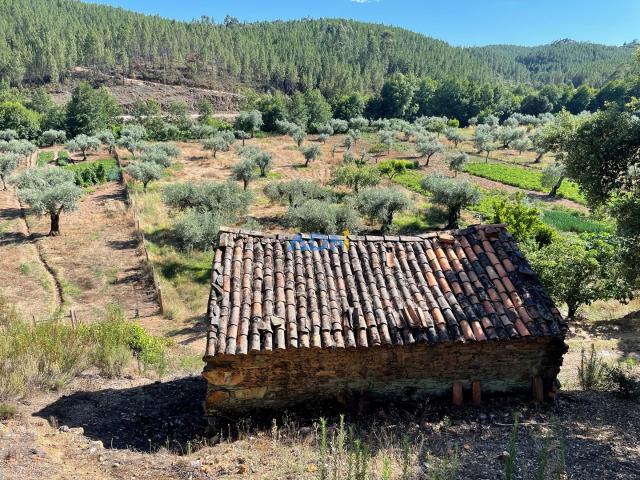 Terreno ribeirinho com 1 casa de pedra e regadio para venda