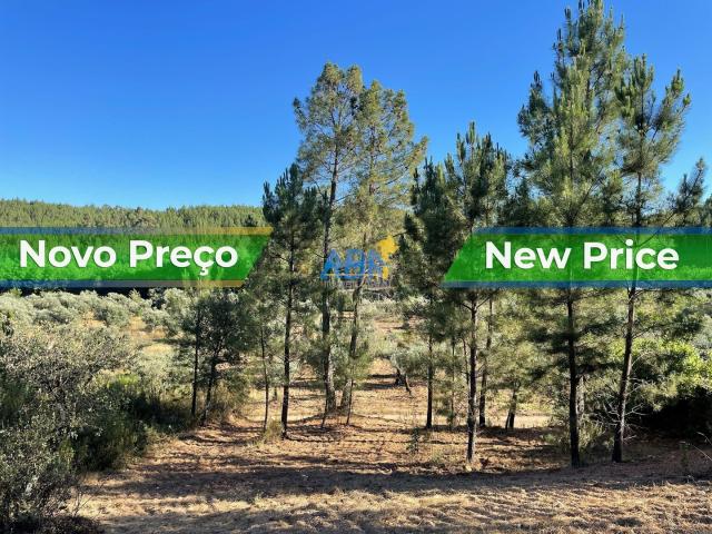 Terreno ribeirinho com 2760m2, com regadio para venda