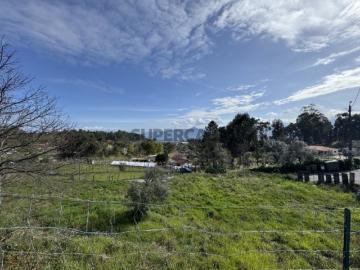 Terreno de 1.800 m² em Arnoia Natureza, Tradição e Potencial Turístico em Celorico de Basto