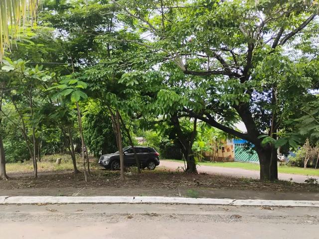 TERRENO HABITACIONAL USO MIXTO