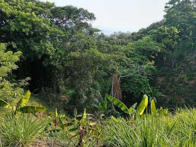 TERRENO SUBURBANO