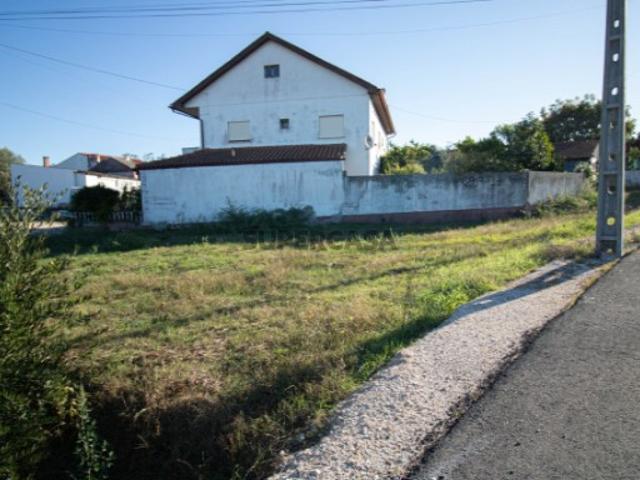 Terreno São João da Ribeira Almagreira