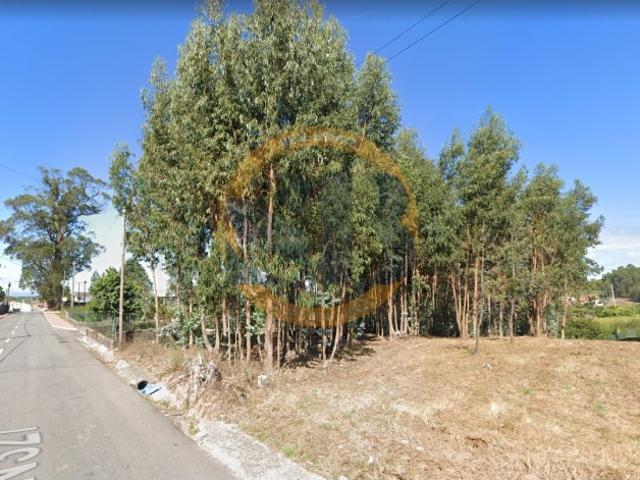 Terreno São João de Ovar