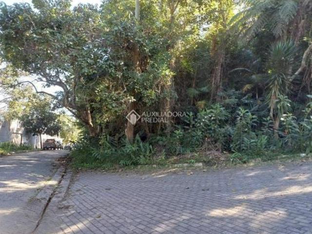 TERRENO SÃO PAULO SETE PRAIAS