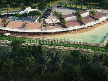 Boliqueime, Loulé, Distrito de Faro, Algarve