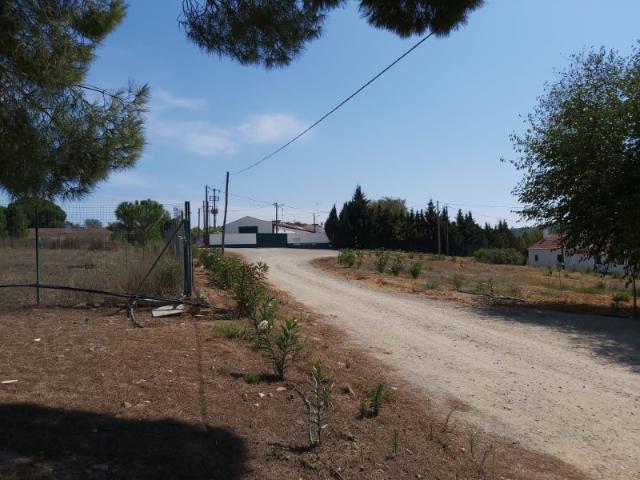 TERRENO S,MATIAS