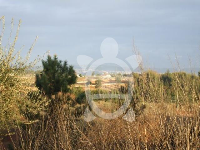 Terreno S. Silvestre em zona de moradias