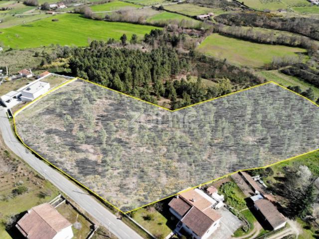 Terreno Samaiões Urbano