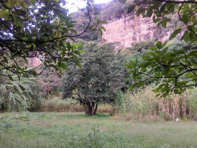 Terreno San Juan