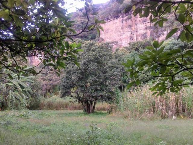 Terreno San Juan