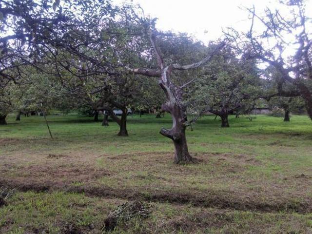 Terreno San Juan