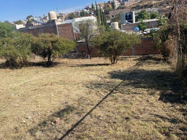 Terreno San Miguel de Allende. Las flores
