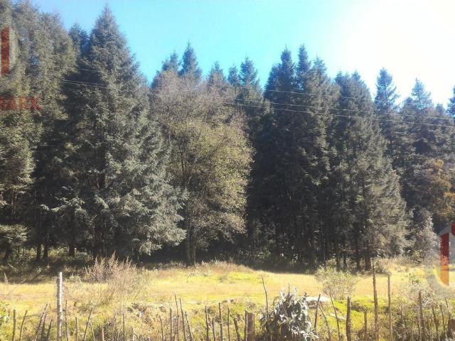 Terreno Santa Mar?a Mazatla Jilotzingo