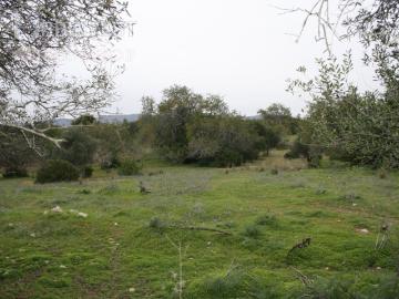 Terreno, Santa Bárbara de Nexe, Faro | BPI Expresso Imobiliário