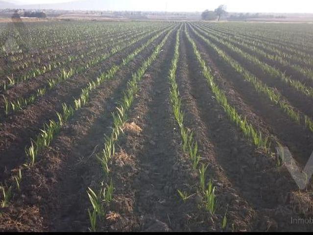 Terreno Santa Clara