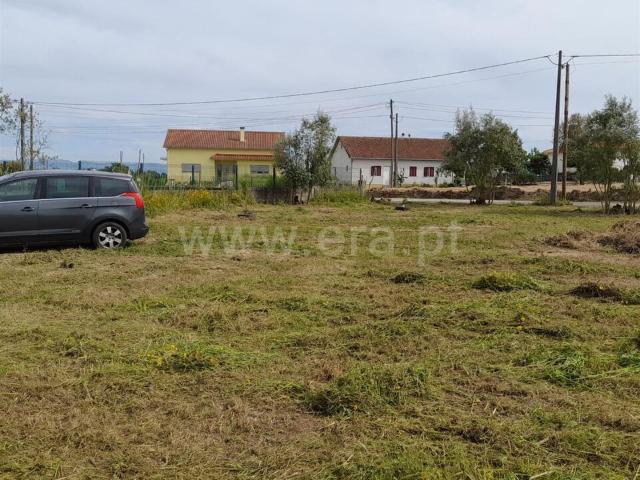 Terreno / Santa Comba Dão, Ovoa e Vimieiro