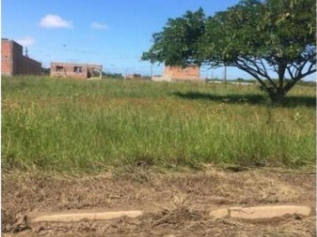 Terreno, Santa Isabel, Peruíbe, SP