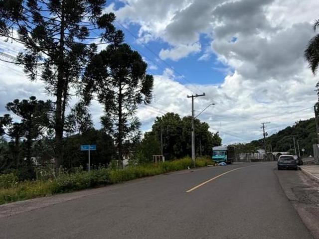 Terreno, Santa Teresinha, Bom Princípio, RS