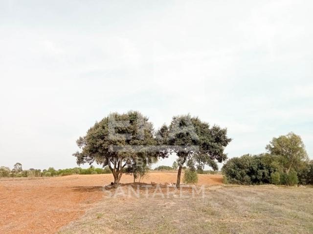 Terreno, Santarém