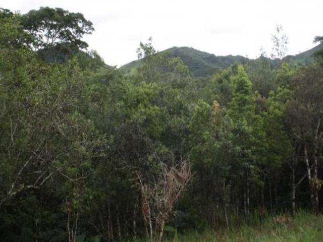 Terreno, Santo Antonio do Rio Grande, Bocaina de Minas, MG