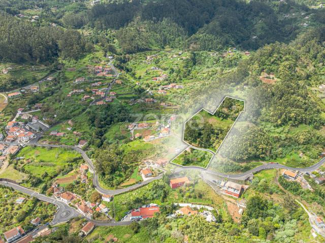 Terreno | Santo António da Serra | Machico