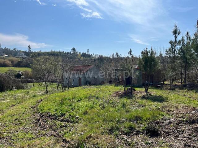 Terreno / Seia, Sameice e Santa Eulália