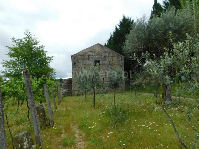 Terreno / Seia, Santa Comba