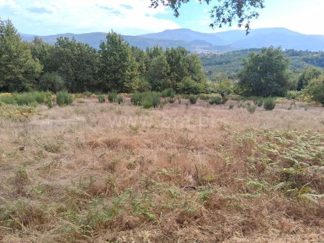 Terreno / Seia, Santiago