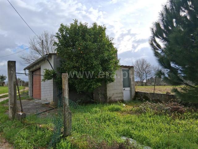 Terreno / Seia, Paranhos