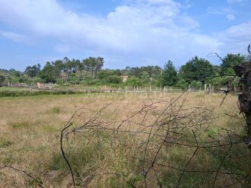Terreno / Seia, Paranhos