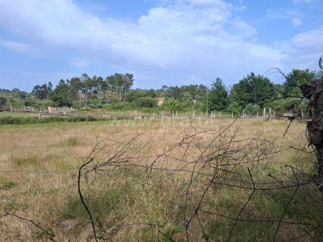 Terreno / Seia, Paranhos