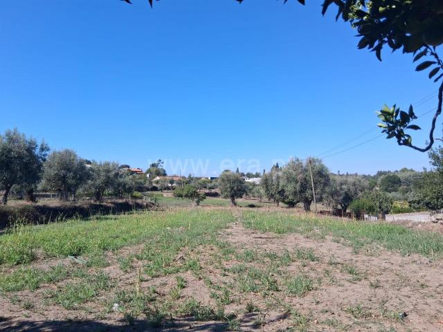 Terreno / Seia, Paranhos