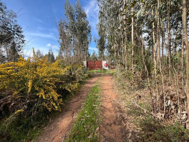 Terreno / Seia, Tourais e Lajes