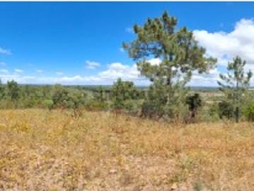 Terreno Serra de Grândola