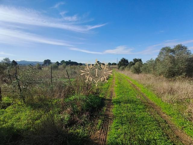 TERRENO SERRALHEIRA