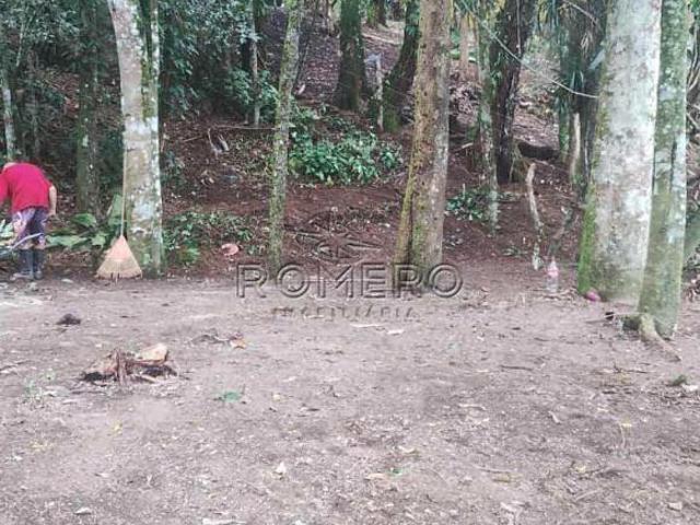 Terreno, Sertão da Quina, Ubatuba R$ 250 mil, Cod: 2557