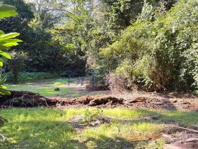 Terreno, Sertão do Camburi, São Sebastião, SP